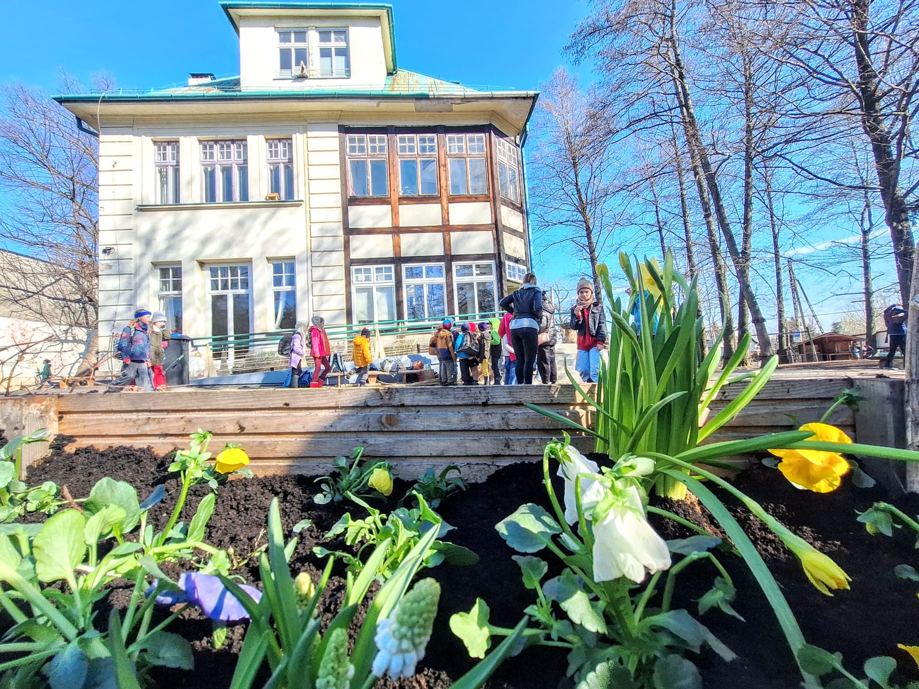 Wiosna w Waldorfie